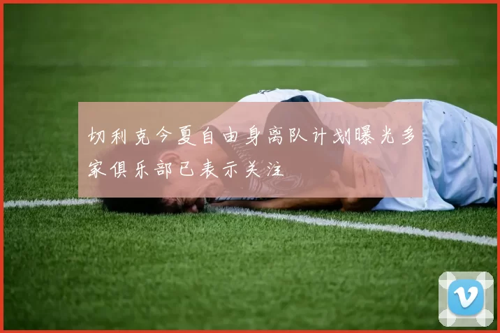 切利克今夏自由身离队计划曝光多家俱乐部已表示关注