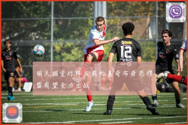 明天掘金对阵灰熊约基奇布劳恩穆雷有望全力出战